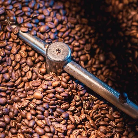 Geulzicht Bed & Breakfast 3*