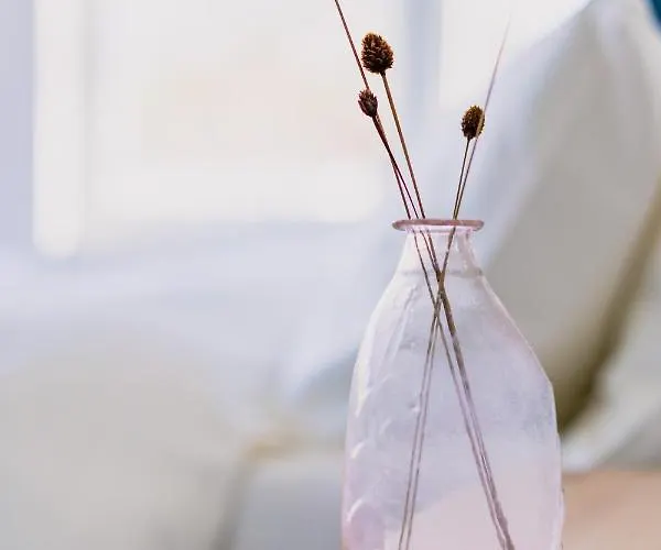 Geulzicht 3* Schin op Geul