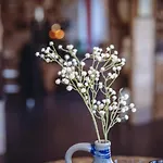 Bed & Breakfast Geulzicht Schin op Geul