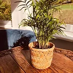 Geulzicht Bed & Breakfast 3*