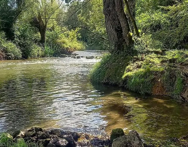 Geulzicht Oda ve Kahvaltı