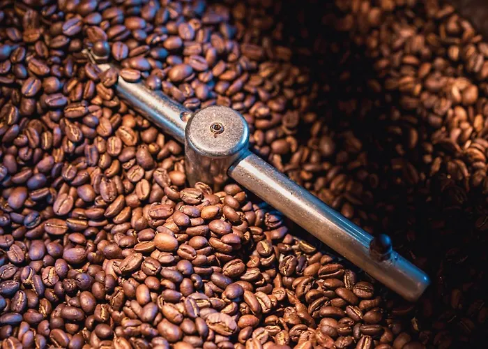 Geulzicht Oda ve Kahvaltı 3*