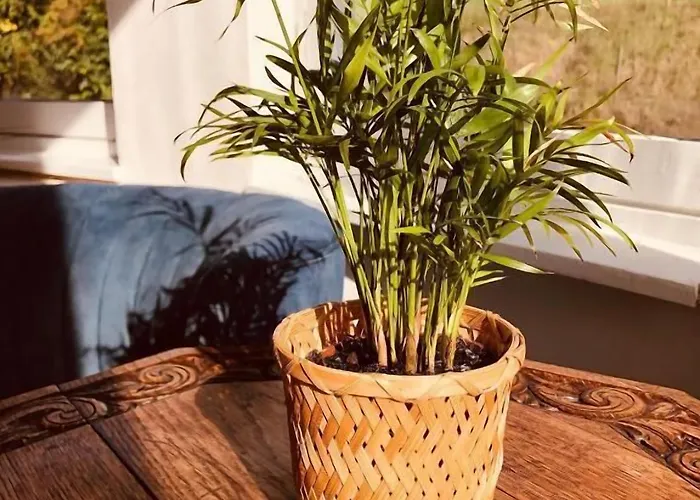 Geulzicht Oda ve Kahvaltı 3*